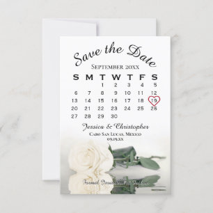 Save The Date Ivory White Rose Élégant calendrier de mariage