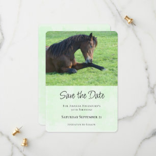 Save The Date Joli Cheval Brown allongé dans l'herbe