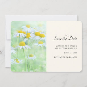 Save The Date Jolies marguerites dans une photo de terrain