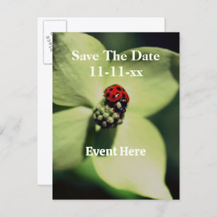 Save The Date Ladybug On Flower  Announcement Postcard