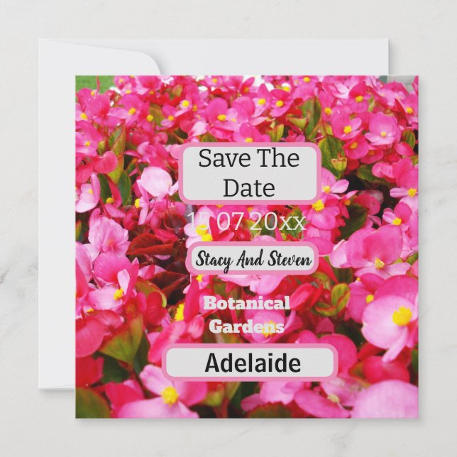 Save The Date Les Fleurs De Begonia Rose Chaud Sauvent La Date, (Devant)