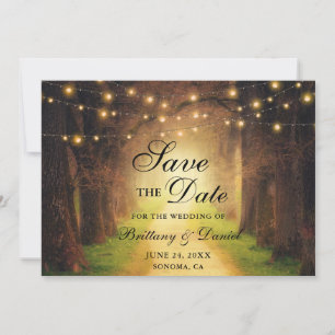 Save The Date Lumières de Chemin de Fête de Mariage de Forêt Rus