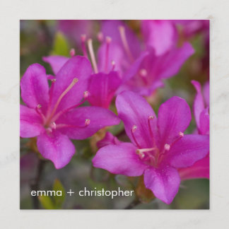 Save The Date Magenta Azalea DSC 1724