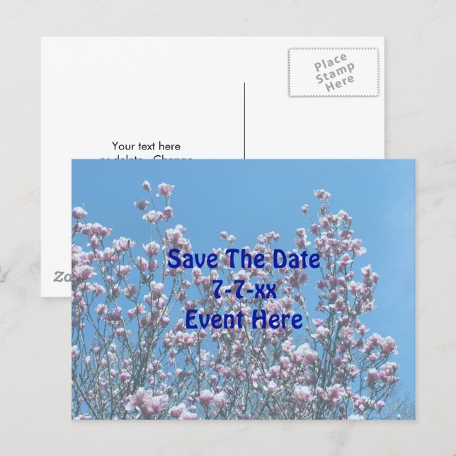 Save The Date Magnolia Flower Blossoms  Announcement Postcard (Front/Back)