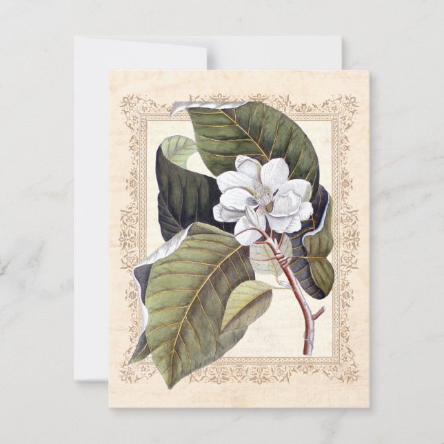 Save The Date Mariage blanc Magnolia Sud Sauvez la date (Devant)