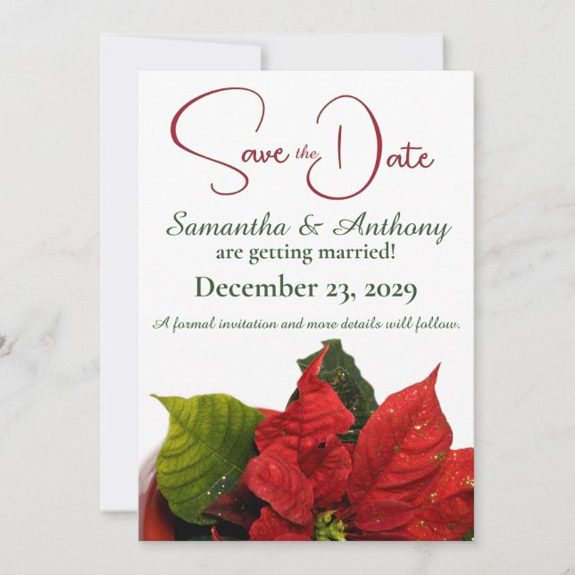 Save The Date Mariage Red Poinsettia (Devant)