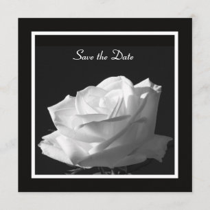 Save The Date Mariage Rose blanche Enregistrer la date Invitatio