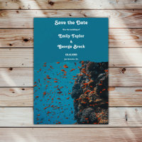 Marine sous-marine Sea Fish Reefs Ocean Beach Mari