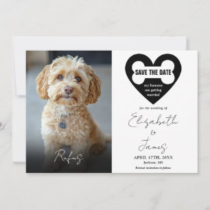 Save The Date Mes humains se marient Chien 2 Photos Mariage