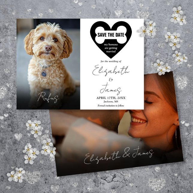 Save The Date Mes humains se marient Chien 2 Photos Mariage (My Humans Are Getting Married Dog 2 Photos Wedding Save The Date)