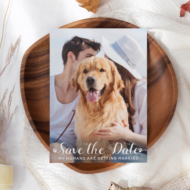 Save The Date Mes humains se marient Chien de compagnie personna (Créateur téléchargé)