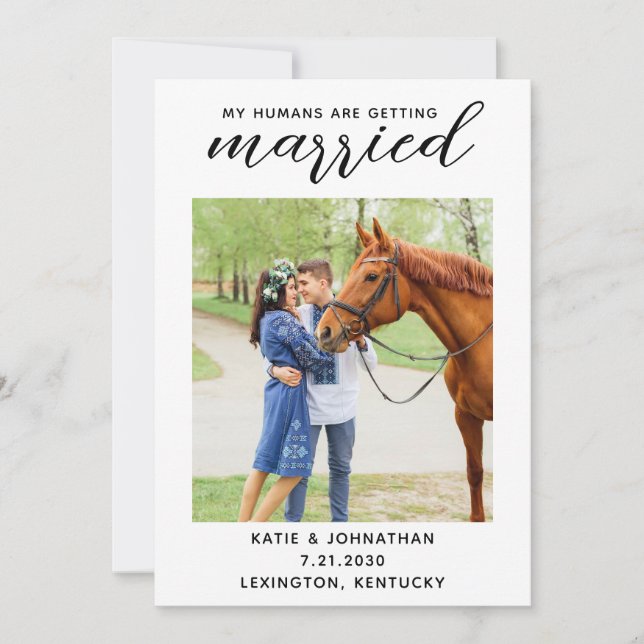 Save The Date Mes Humains Se Marient Mariage De Cheval Equin (Devant)