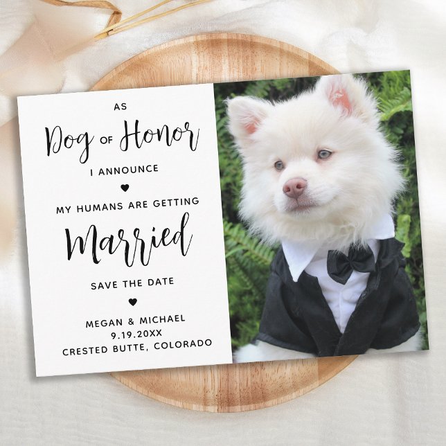 Save The Date Mes humains se marient - Mariage de chien (Créateur téléchargé)