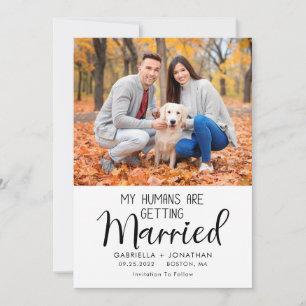Save The Date Mes humains se marient Mariage photo de chien