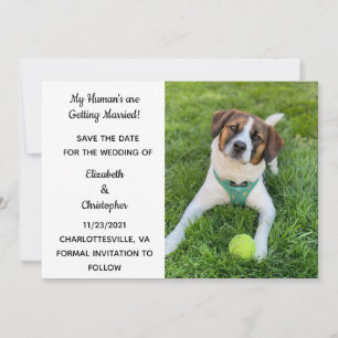 Save The Date Mon humain se marie Photo de chien Enregistrer la 