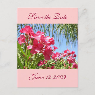 Save the Date Oleander Post Card