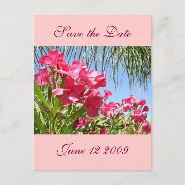 Save the Date Oleander Post Card (Front)