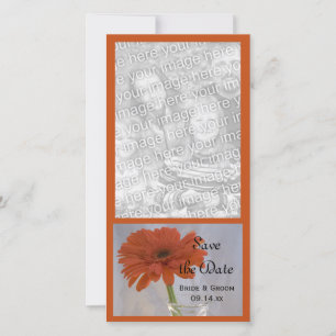 Save The Date Orange Daisy in Vase Wedding Enregistrer la date