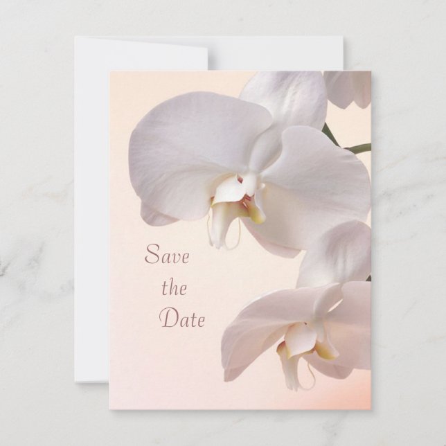 Save The Date Orchidées crème blanc Enregistrez la date (Devant)