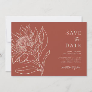 Save The Date Originaire d'Australie Waratah Protea