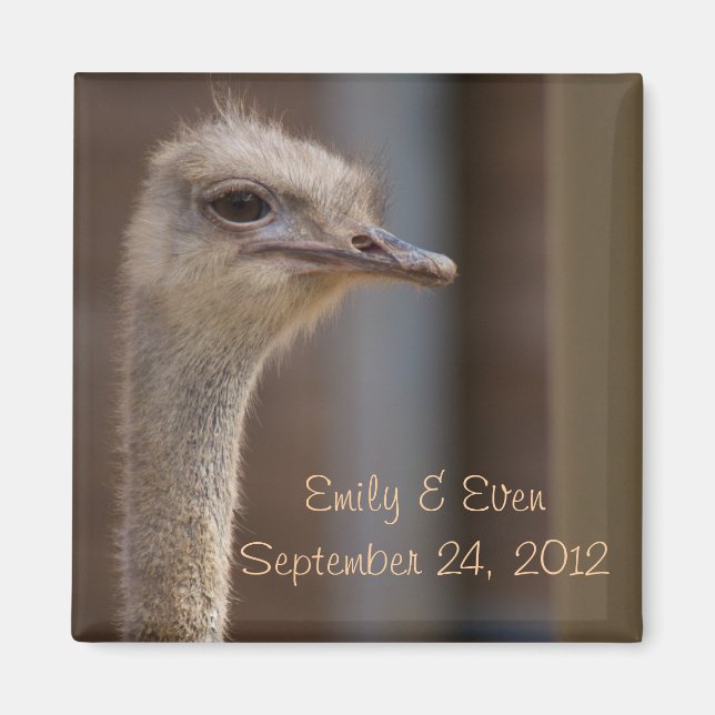 Save the Date Ostrich Photo Magnet (Front)