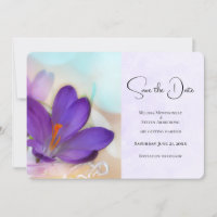Photo d'un Mariage de Crocus de printemps assez vi