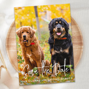Save The Date Photo personnalisée Script moderne Mariage chien a