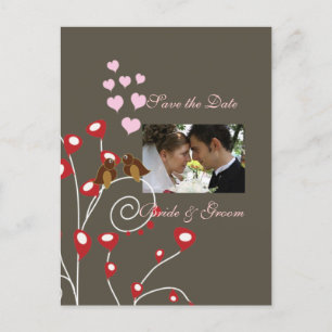 Save the Date Photo postcards, love birds Announcement Postcard