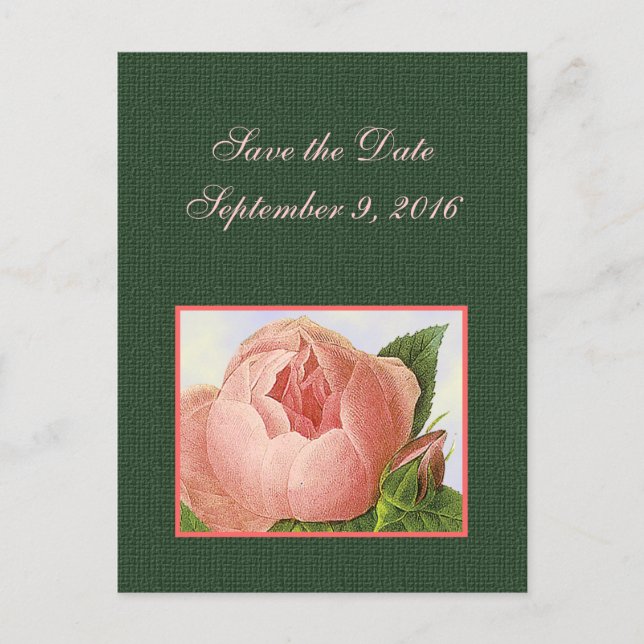 Save the Date Pink Botanical Roses Postcard (Front)