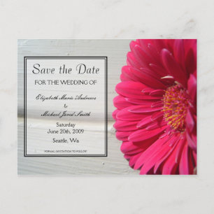 Save the Date Pink Daisy Postcard