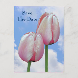 Save The Date Pink Tulips Blue Sky Flower Postcard