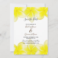 Plumeria Jaune Frangipani Mariage Enregistrer La D