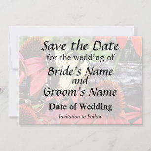 Save The Date Porte-queue sur Echinacea pourpre