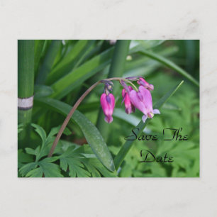 Save the Date Postcard