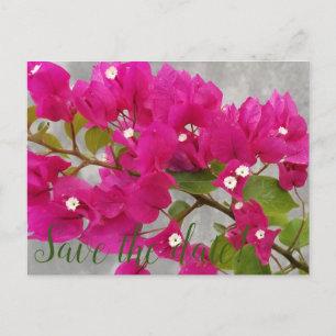 Save the date! postcard