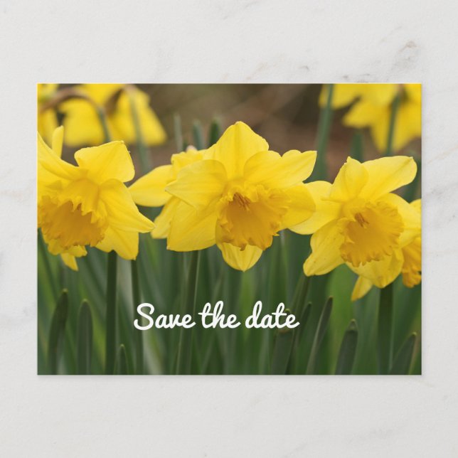 Save the Date Postcard (Front)