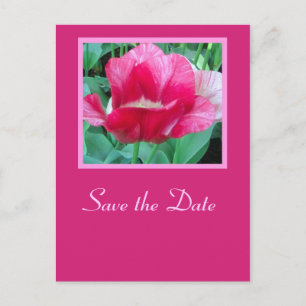 Save the Date - Postcard