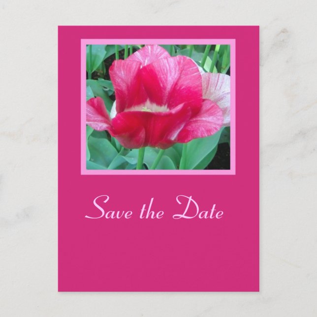 Save the Date - Postcard (Front)