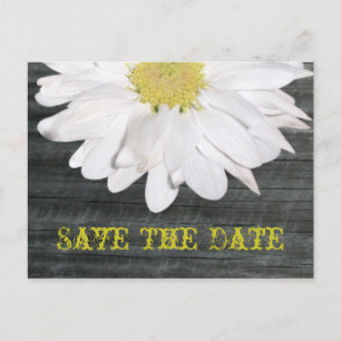 Save The Date Postcard - Daisy & Barnwood