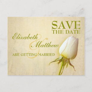 Save the Date Postcard Single White Rose Bud