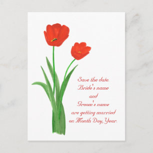 Save the date postcards, Red Tulips Announcement Postcard