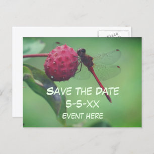 Save The Date Red Dragonfly Nature Announcement Postcard