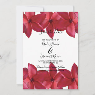 Save The Date Red Plumeria Frangipani Mariage Enregistrer La Dat