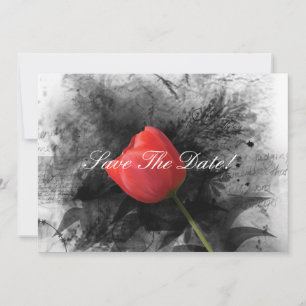 Save The Date Red Tulip Enregistrer La Date