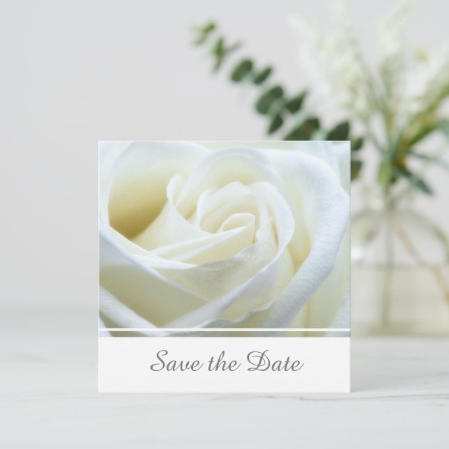 Save The Date Rose blanche moderne (Debout devant)