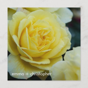 Save The Date Rose jaune DSC3677