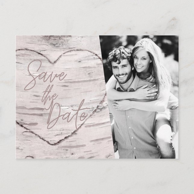 Save the Date Rustic White Birch Engagement Photo Postcard (Front)