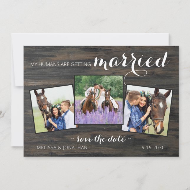 Save The Date Rustique 3 Photo Horse Mariage pour animaux Fiança (Devant)