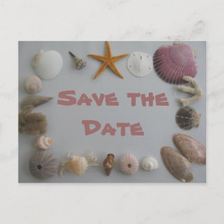 Save the Date/Sea Shells Announcement Postcard