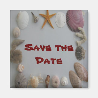 Save the Date/Sea Shells Magnet